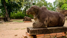 Start your journey with Roluos Group’s vibrant glow